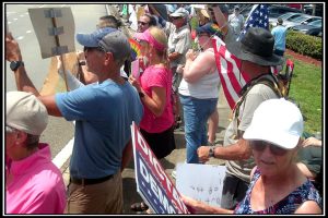Photo Gallery of No Kings Protest In Palm Bay
